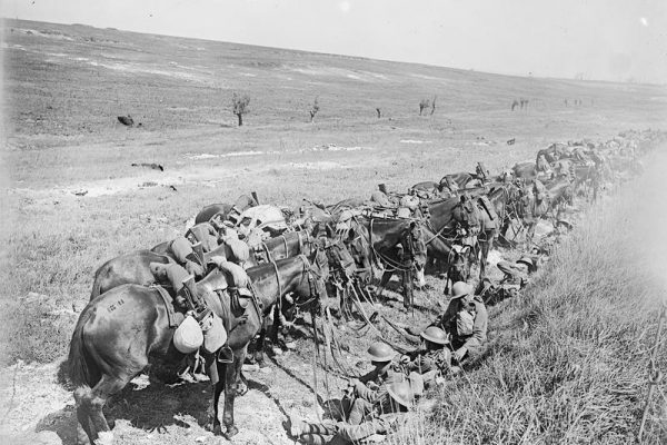 Cavalry waiting under a bank ready to move forward.© IWM (Q 6973)