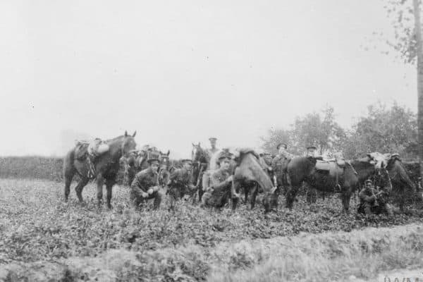 British cavalry troops resting in a field. Belgium, 13 October 1914.© IWM (Q 53323)