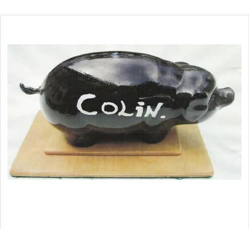 'Colin' - The original Black Pig!