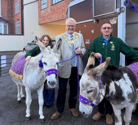Mayor of Warwick Cllr Simon Pargeter meets donkeys at The Museum of The Queen's Royal Hussars with Archivist Sofia Carbone and Curator Andy Milton.